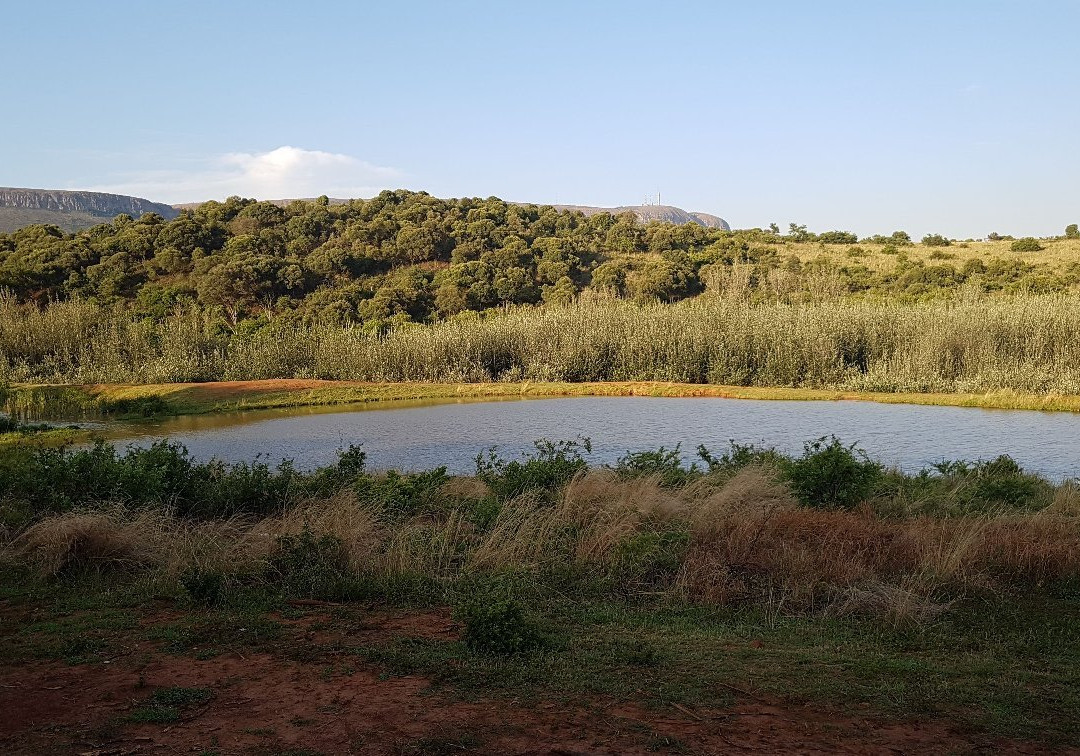 Askari Game Lodge-比勒陀利亚必去景点