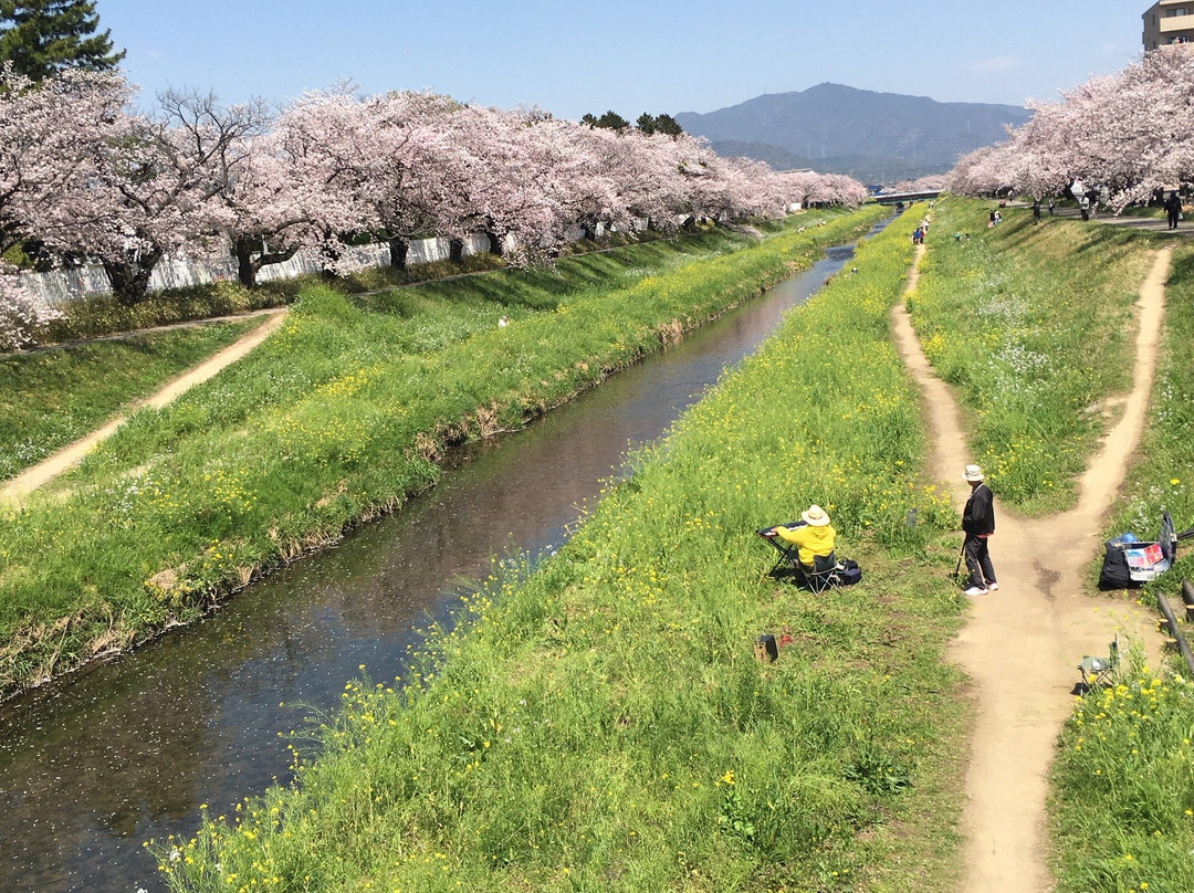 Sanagawa Embankment-丰川市必去景点