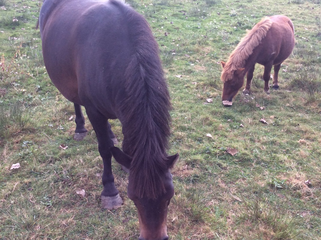 Gite Du puy de l'etang主图