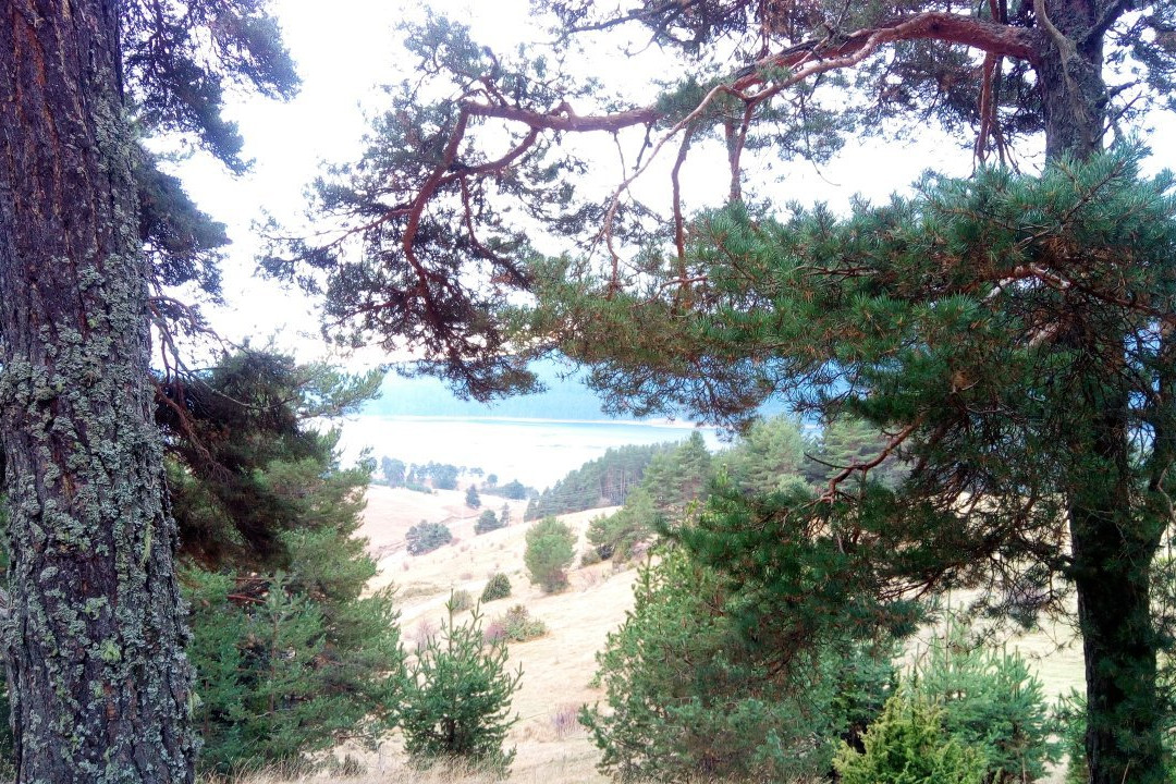 Dospat Dam-Dospat必去景点