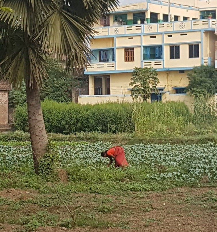 Hathiyar旅游攻略图片