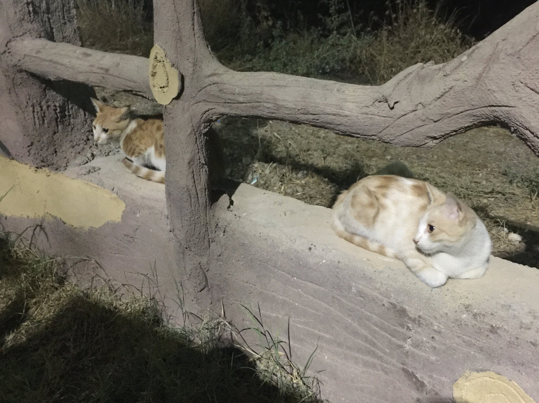 Dream City-Duhok必去景点