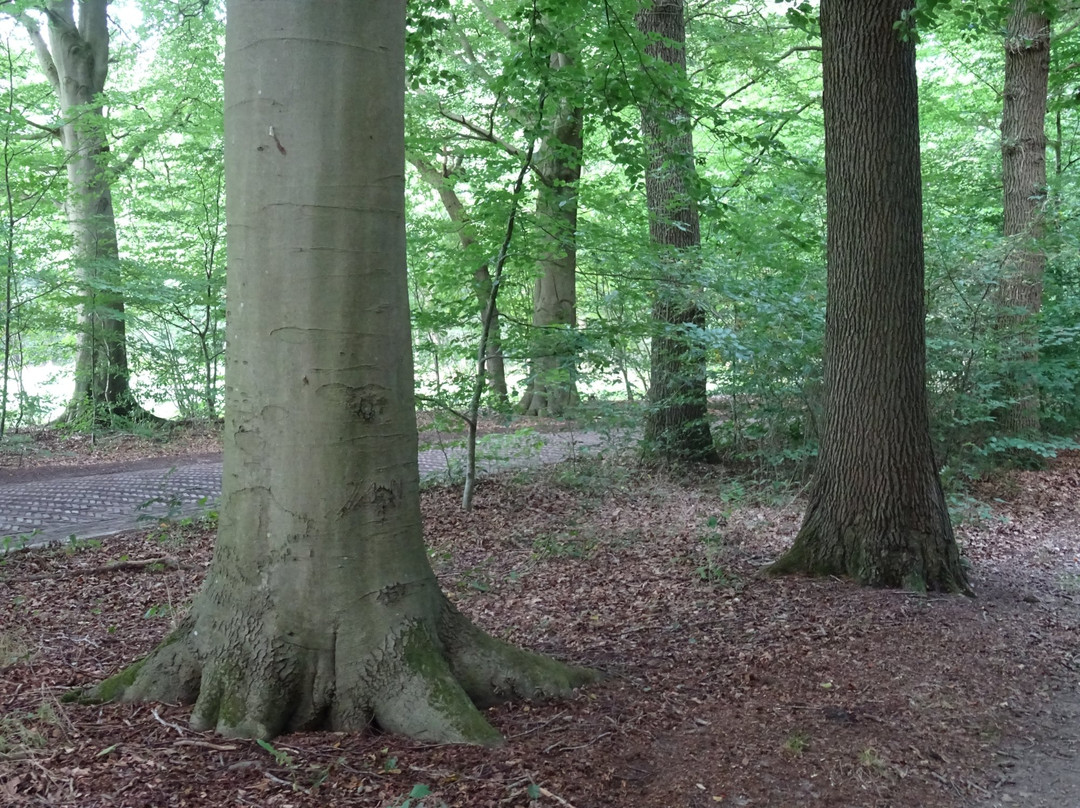Lonnekerberg-Lonneker必去景点