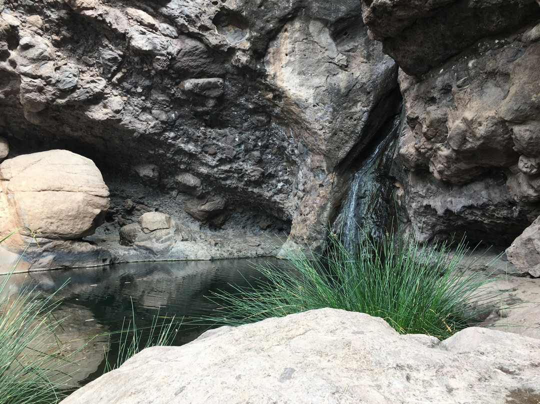 El Charco Azul-大加那利岛拉斯帕尔马斯必去景点