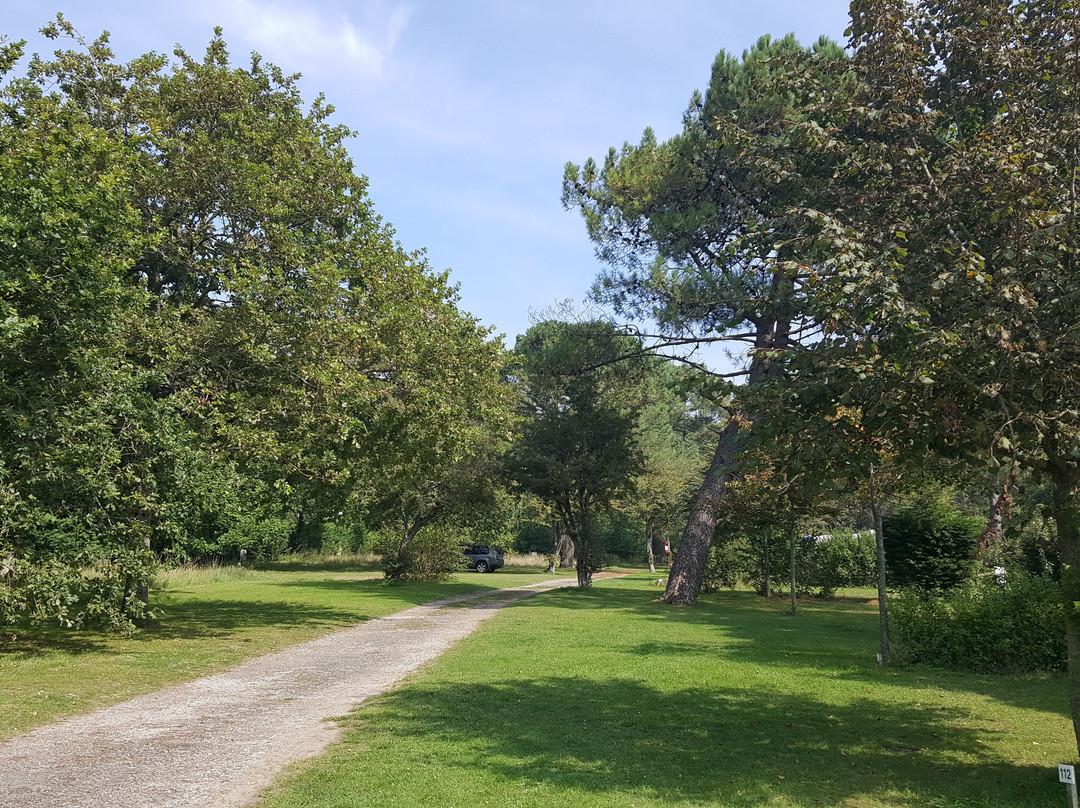Camping La Pinede