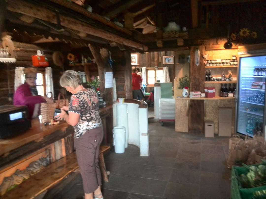 Lohninger's Heidelbeergarten-Seewalchen am Attersee必去景点