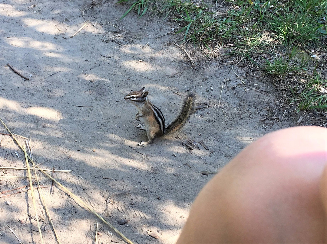Beaver Creek Conservation Area-萨斯卡通必去景点