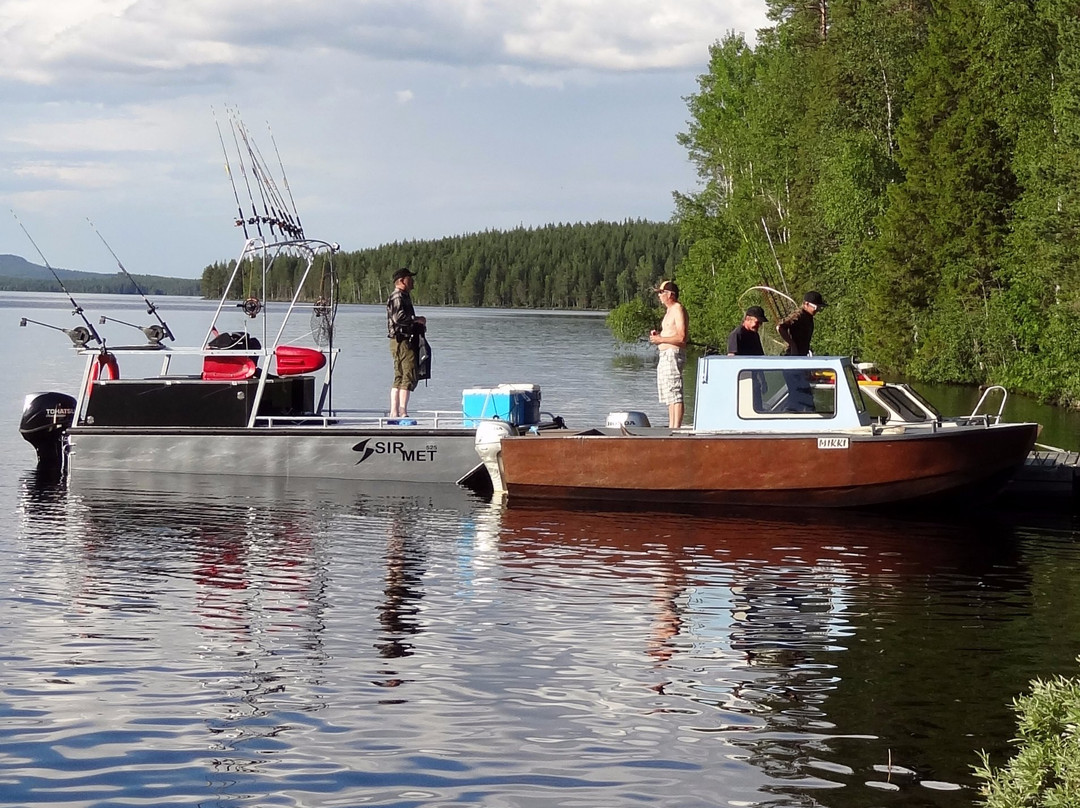 Lapland Wild Fish