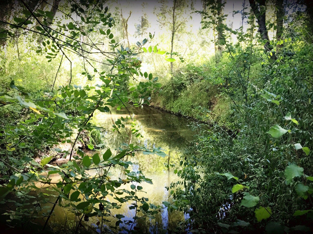 La Senda de los Pescadores-Cuellar必去景点