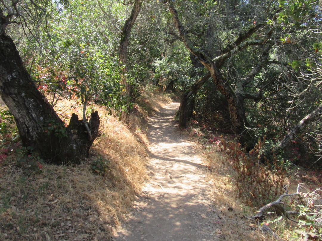 Edgewood Park Natural Preserve-雷德伍德城必去景点