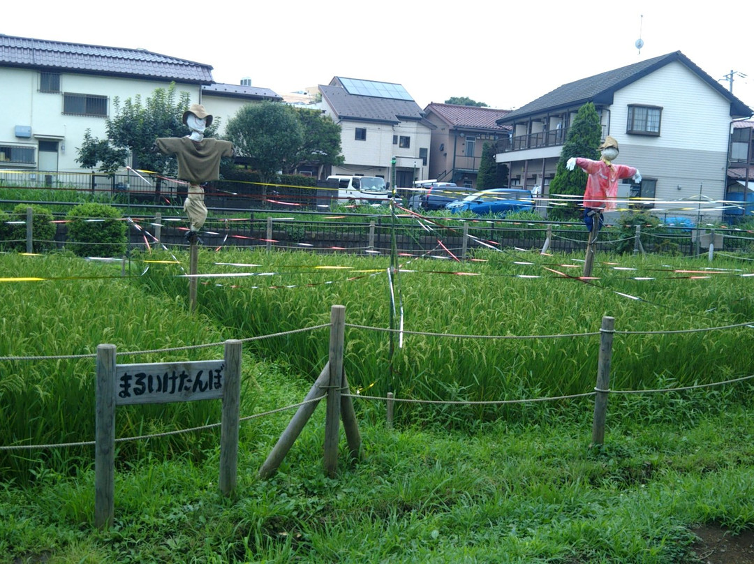 Maruike Park
