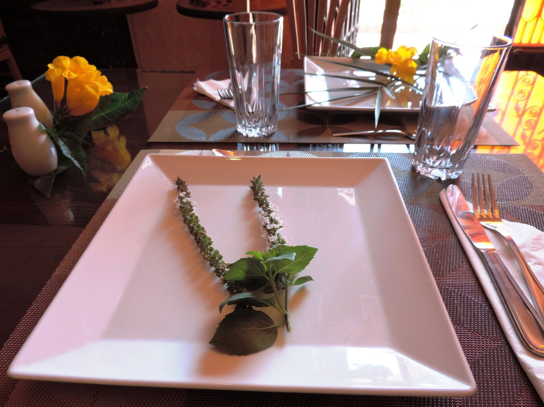 Safaga餐馆和美食-Panorama Guesthouse & Restaurant