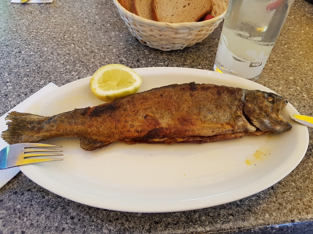 Fendels餐馆和美食-Willis Fischerranch