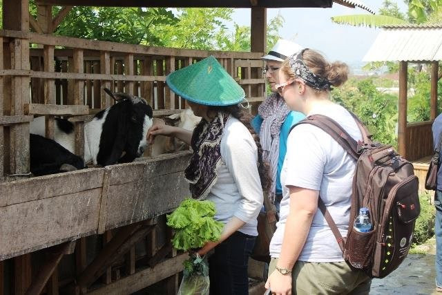 Wisata Desa Agro Bumiaji-巴图必去景点