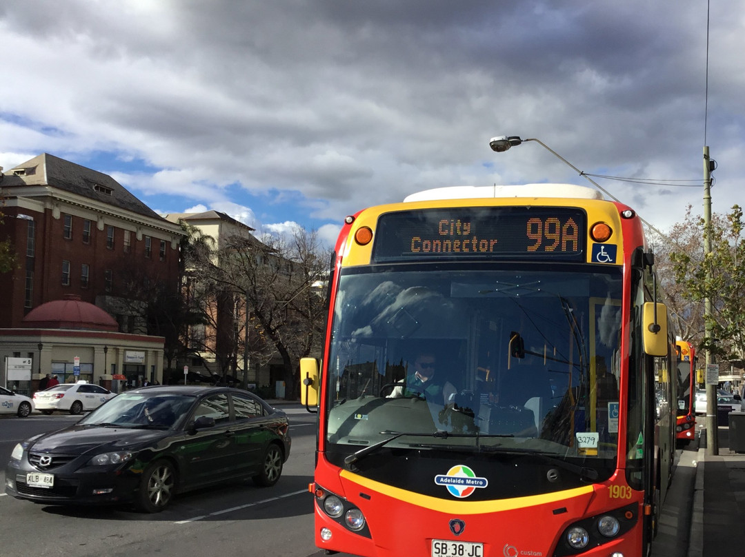 Adelaide Metro Free City Connector Bus and Tram景点图片