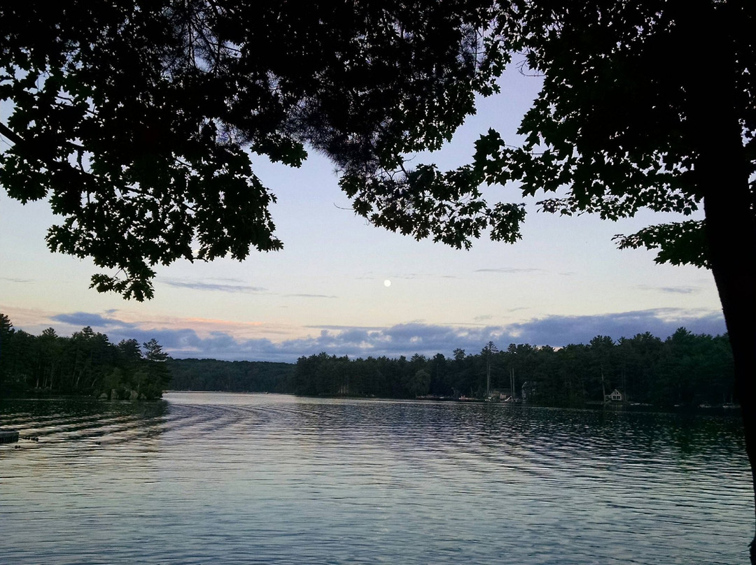 Scotts Cove Camping
