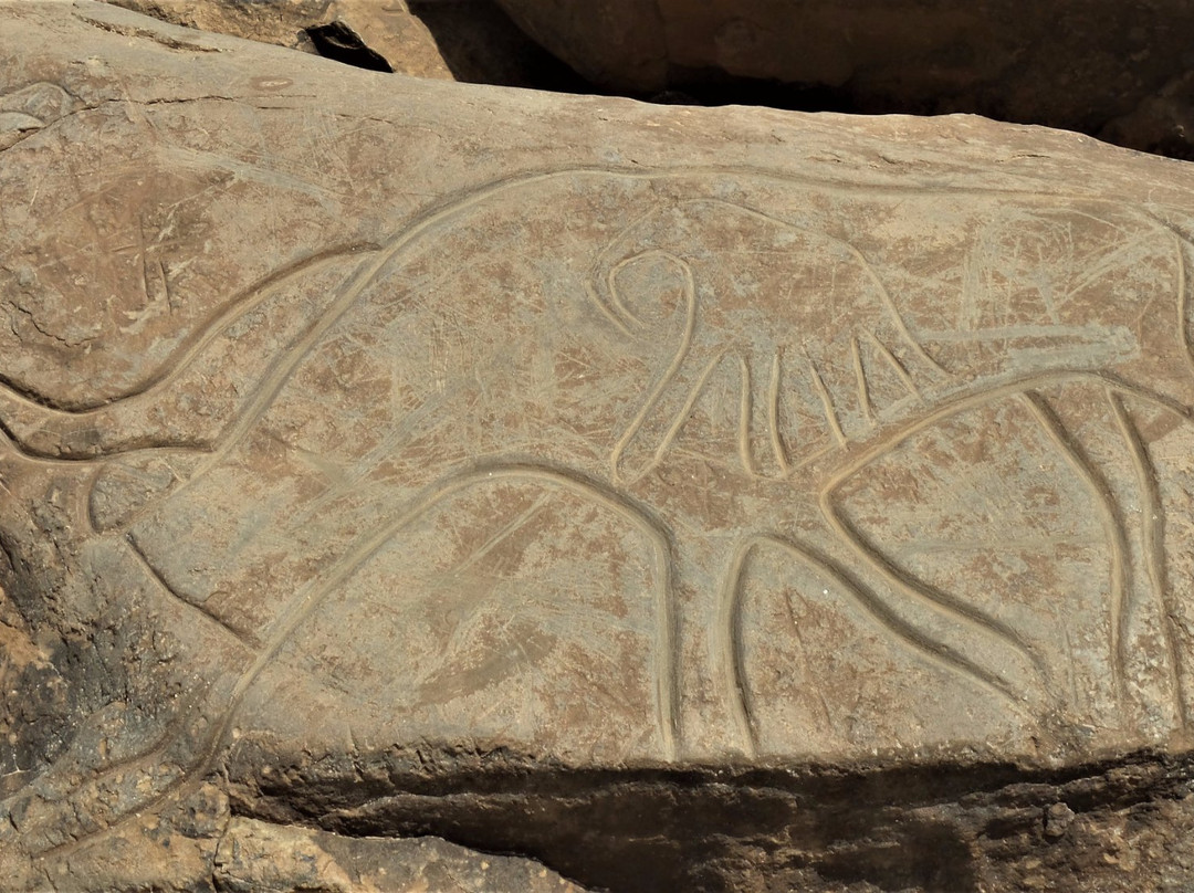 Rock Carvings Nkob Tazzarine-Tazzarine必去景点