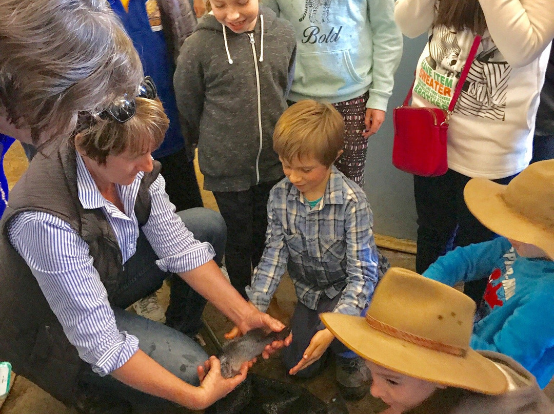 9Dorf Farms-Lilydale必去景点