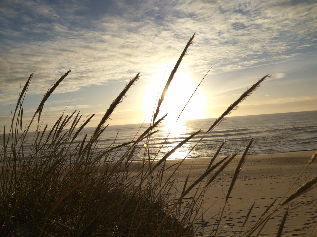 Praia da Murtinheira景点图片