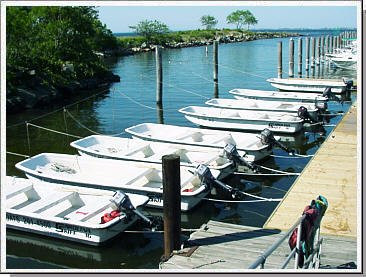 LB Wake & Watersports-Island Park必去景点