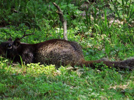 Presidio de San Saba-Menard必去景点