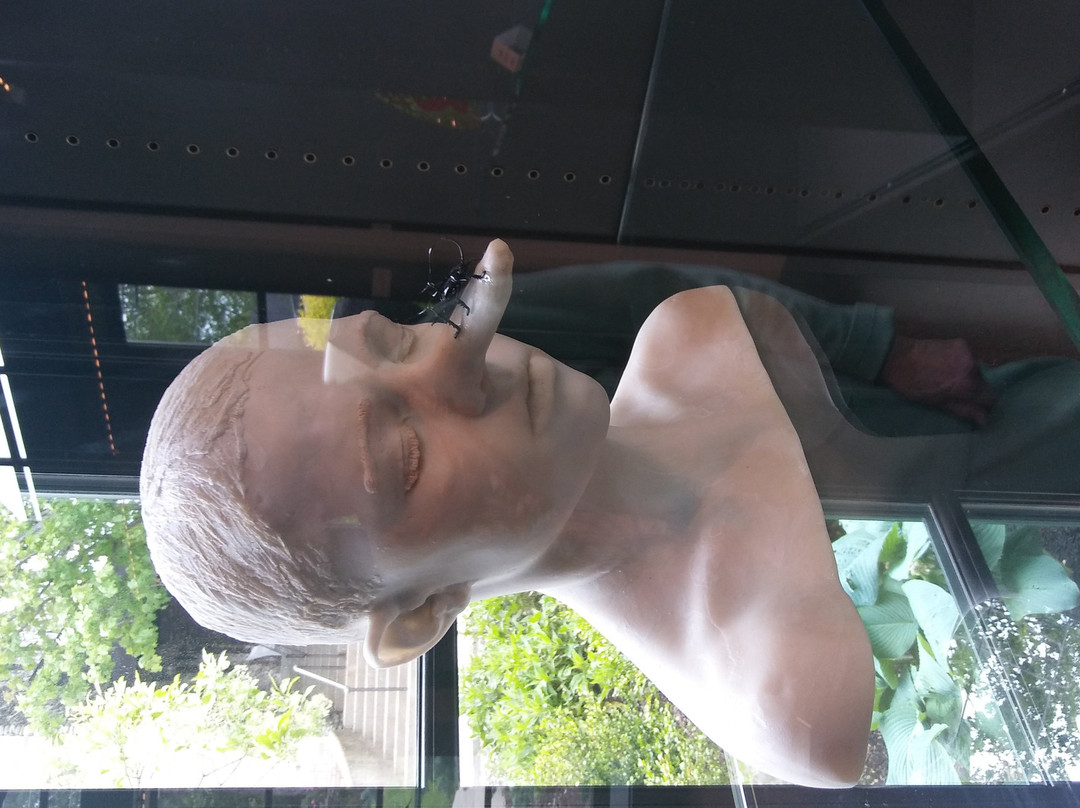 Blowing Rock Art and History Museum景点图片