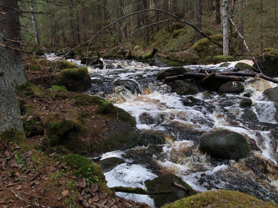 Kulhanvuori Hill Nature Reserve景点图片