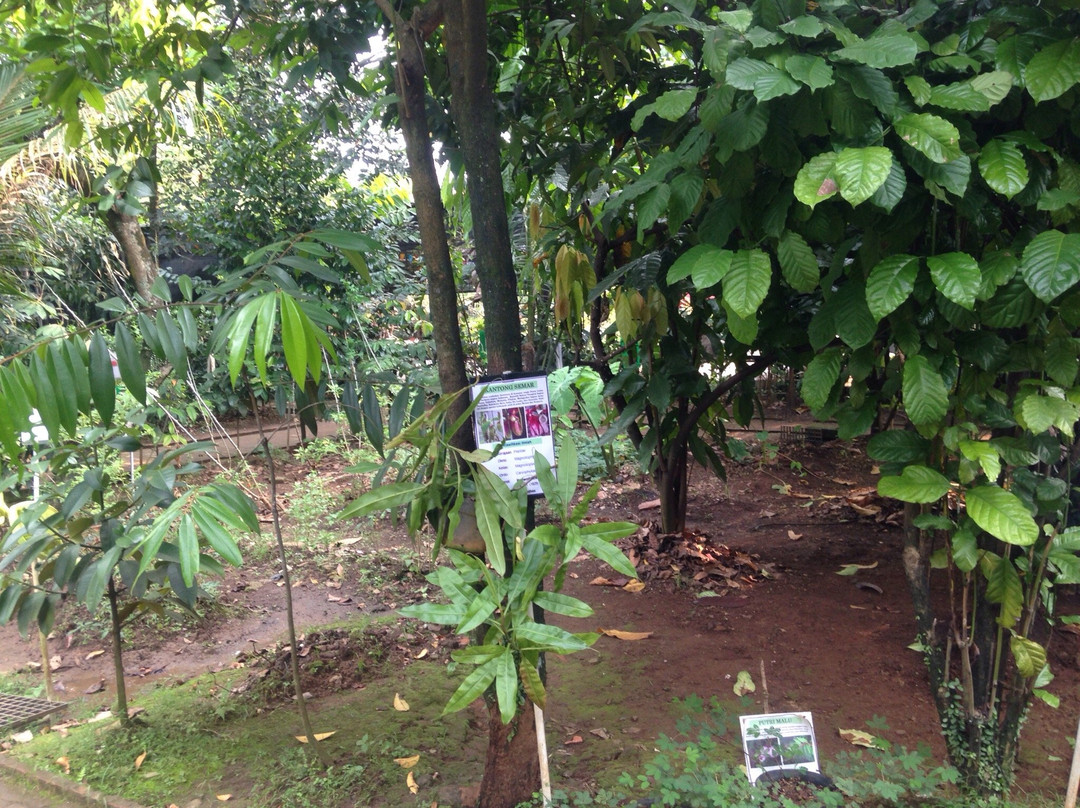 Godong Ijo-Depok必去景点