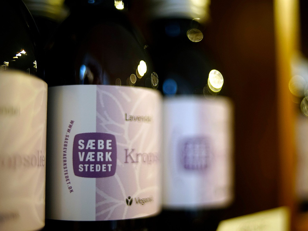 Saebevaerkstedet景点图片