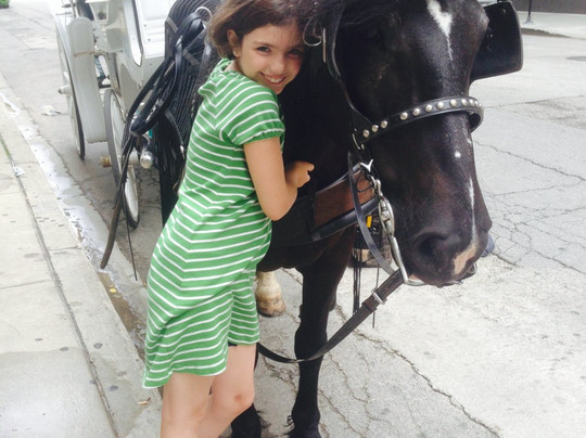 Chicago Horse and Carriage-芝加哥必去景点