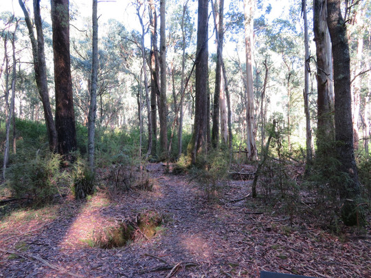 Stringybark Creek Historic Reserve-Archerton必去景点