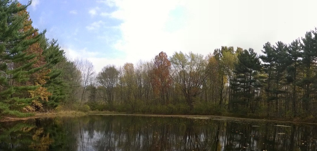 Silver Creek Metro Park景点图片
