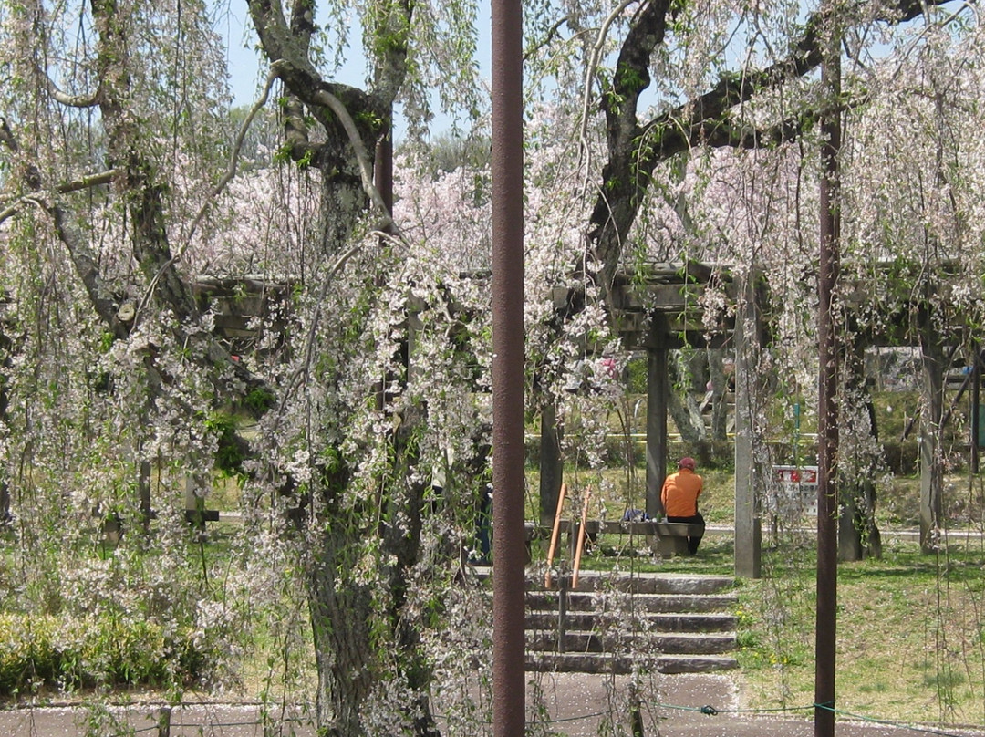 Settsukyo Park-高规市必去景点