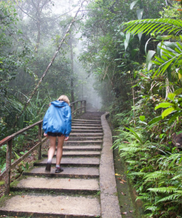 Mount Kinabalu Botanical Garden景点门票图片