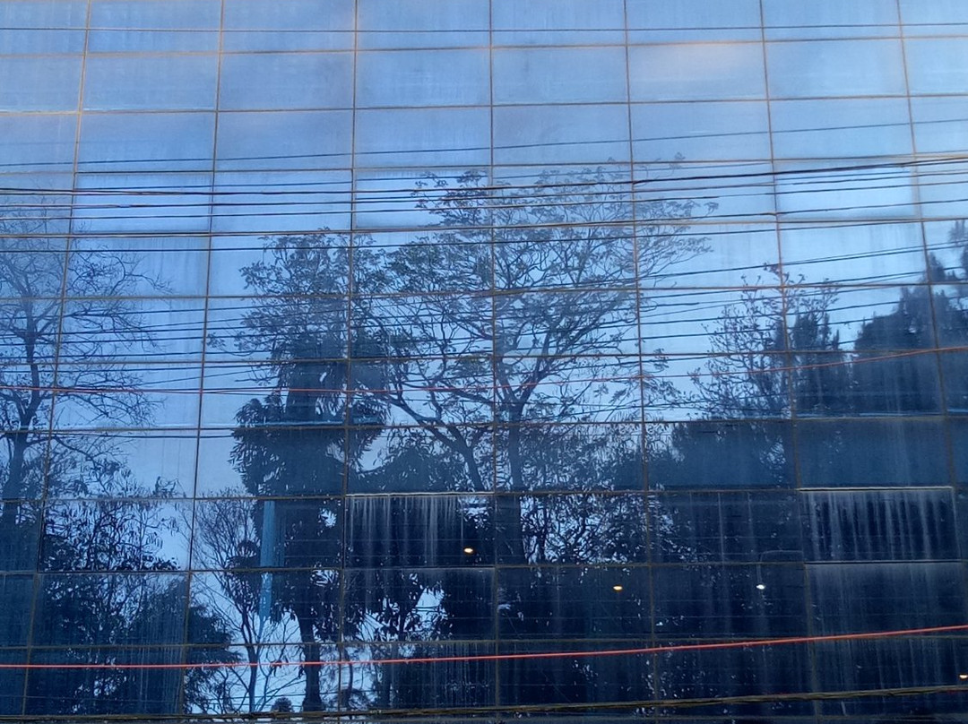 The Blue Bayou主图