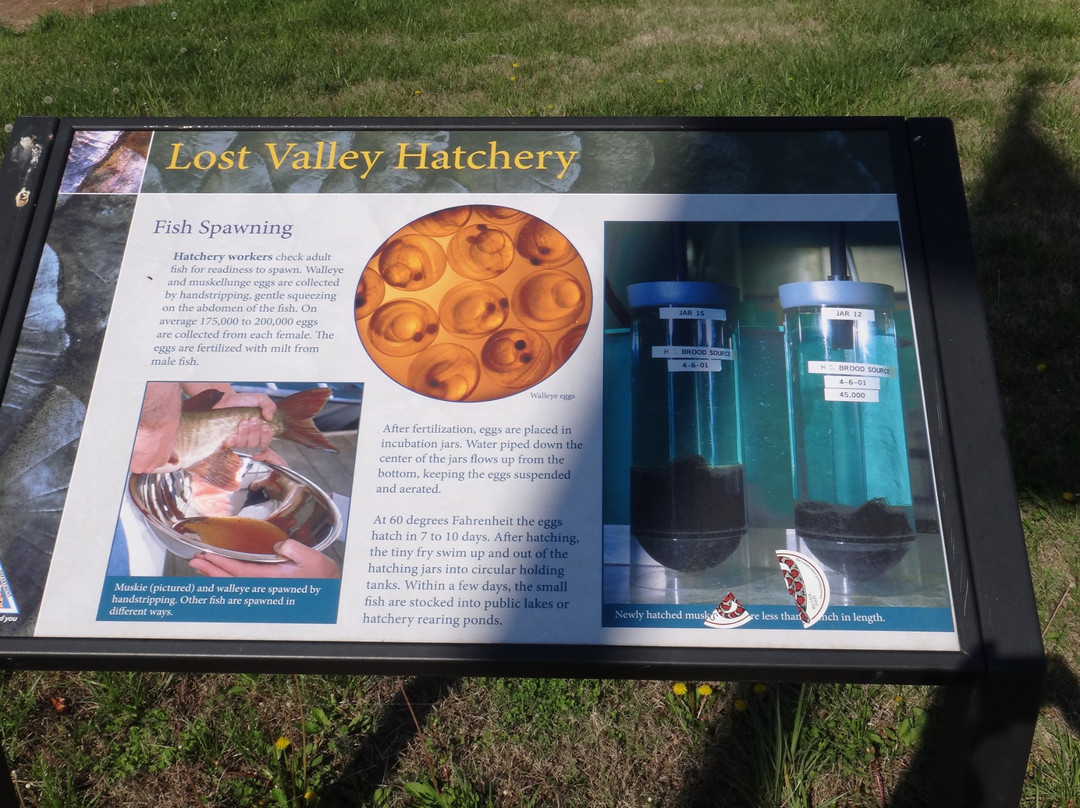 Lost Valley Hatchery-Warsaw必去景点