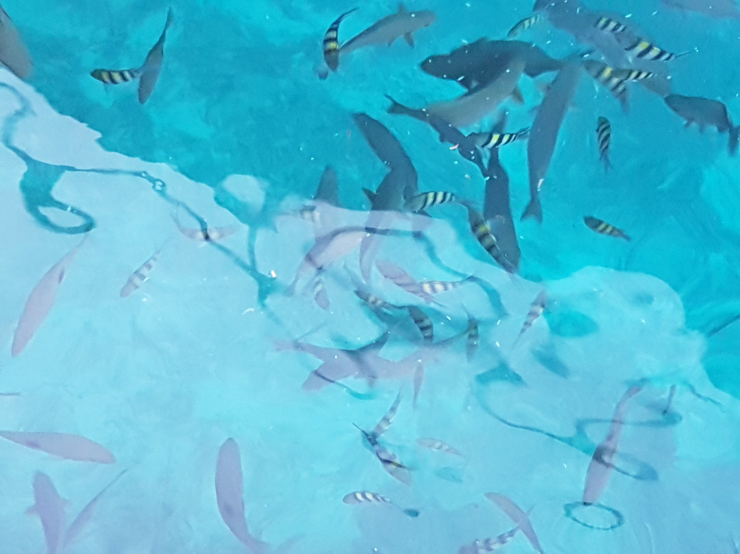 Sawinggrai Village-索龙必去景点