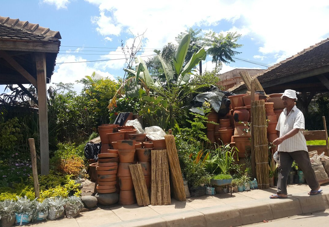 Antananarivo Flower Market景点图片