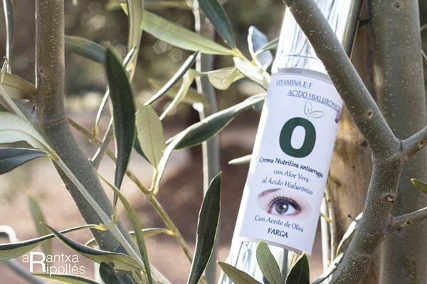 Almazara Sant Climent-Sant Mateu必去景点