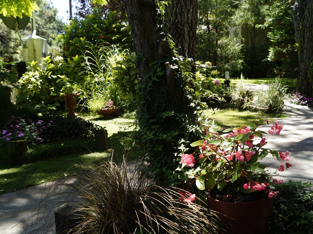 Complejo La Pausa主图