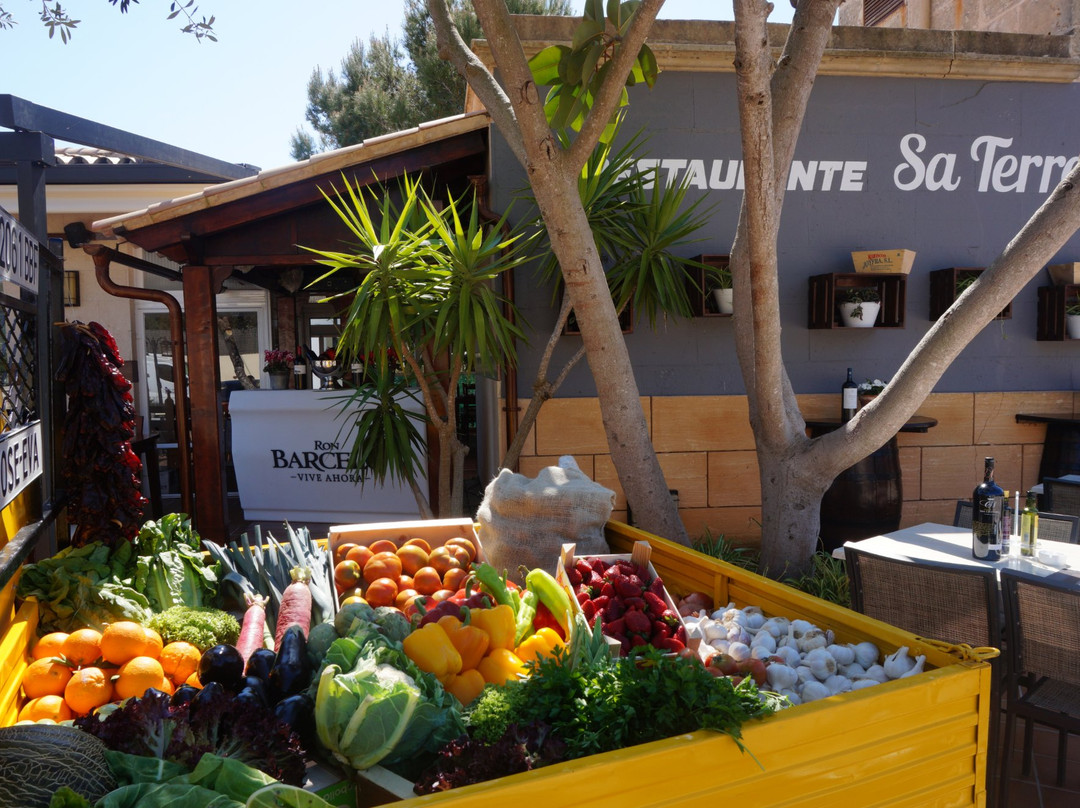 Restaurante Sa Terrassa
