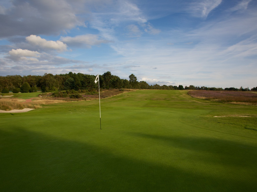 Moortown Golf Club景点图片
