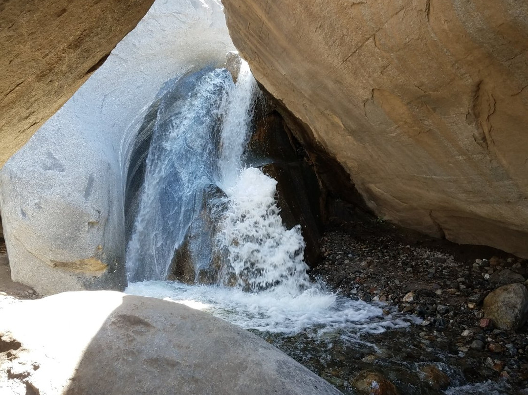 Palm Canyon Trail-棕榈泉市必去景点