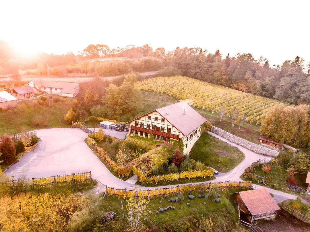 Frangež Sparkling Wine House景点图片