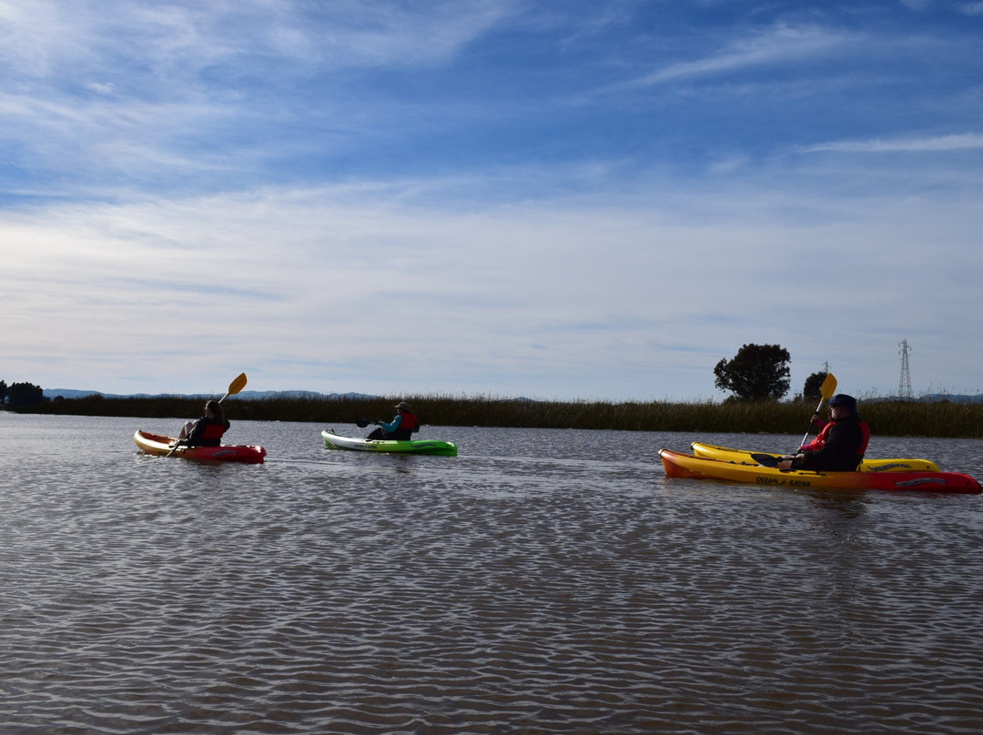 Grizzly Waters Kayaking-Suisun City必去景点