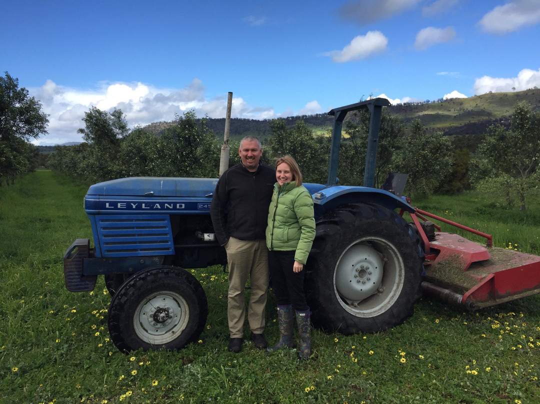 Freshfield Grove-Campania必去景点