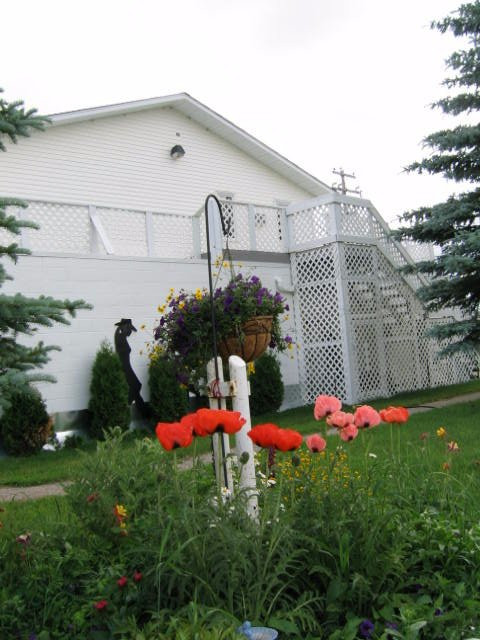 Blue Sky Motel主图