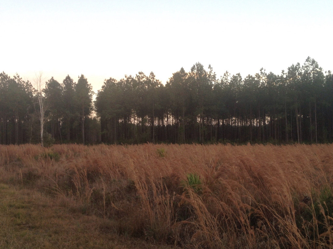Rice Creek Conservation Area-Palatka必去景点