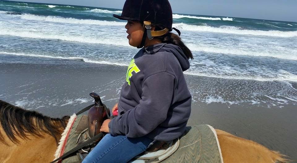 Mar Vista Stables-戴利城必去景点