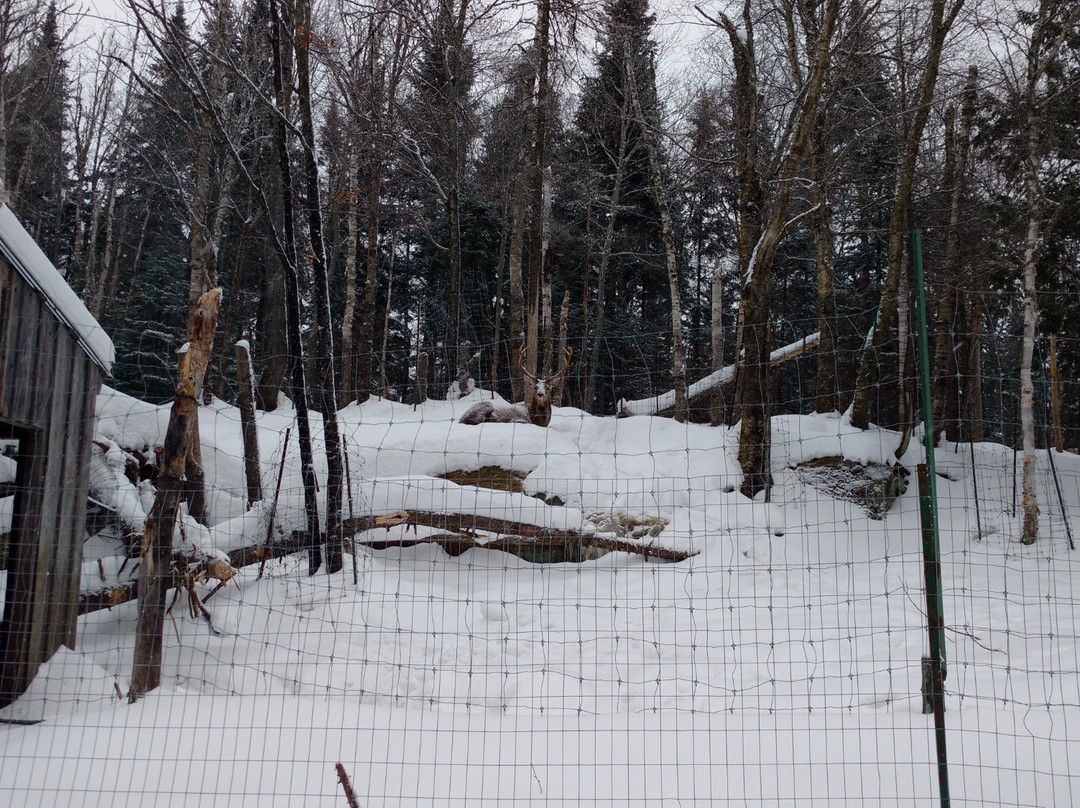 Pourvoirie Domaine Bazinet-Sainte-Emelie-de-L'Energie必去景点